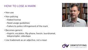 2.101 Copyright and Trademark