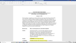 4.108 Strategic Investment and Venture Debt
